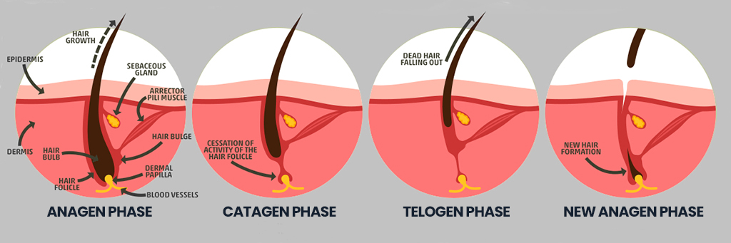 Keto Hair Loss Prevention Tips