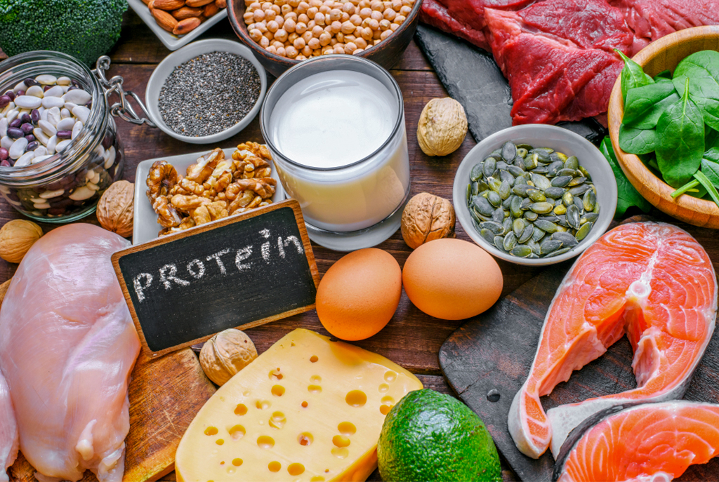 Importance of Protein for Health – Protein sources and benefits